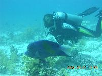 ���� -����� � �