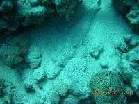 ���� - ��������