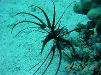 ����������