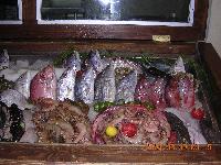 ��� ����