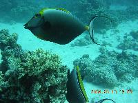 ����-�������