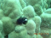 �����-�������������� ������