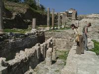 �����������