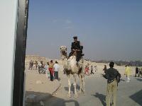 �������� � ����