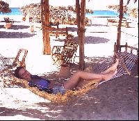 ������� ����