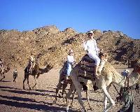 � ��������