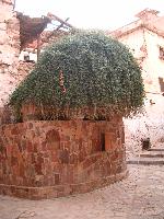 ���������� ������