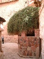 ���������� ������