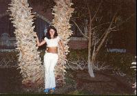 ��������� ������ � ��������