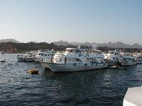 ������� �������� � ���