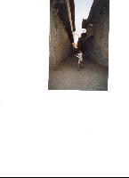 ����  �������