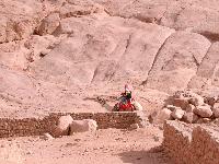 �������� ���������