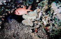 ����������