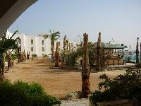 ����� ������ �������