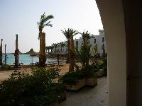 ����� ������ �������