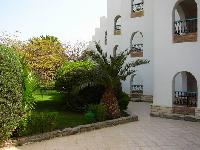 ����� ������ �������