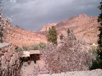 ���� ������!