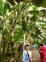 �� ��������� �������