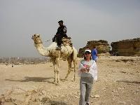 �� ������� ���� �������