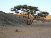 �������� ������� � �������