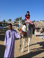 ���������� �����