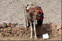 ������� ������