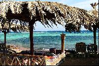 ��� ��� ��������