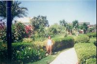 ������ ���