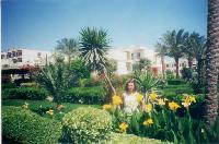 ������ ���