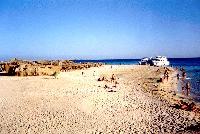 ���������� �������