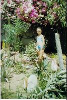 ����-������