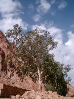 ������ � ��������� ������ ���������