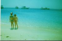  �����-���������