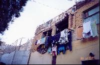 ��� ���� ������� �������