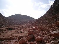 ���� �� ���� ������ �������...