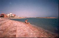 ���� (���-����)