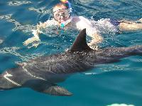 ������ ���������...