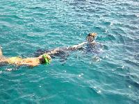 �������...