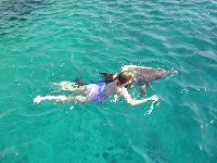 ���������� ��������...