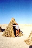 ���������� �������