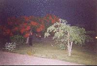 ���������� ����� ������