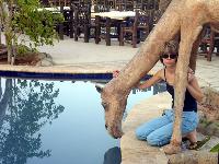 ����� ���� ���������