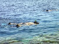 ������ ���� � ����� ������