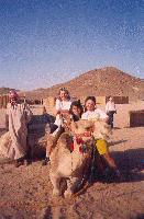 �� ��������