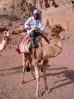 ������ ��������