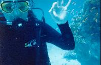 ����� (������ ����������)