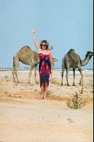 ������� �������...