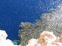 ����������. �����