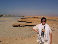 ����������. �����