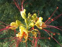 �������-������� ����